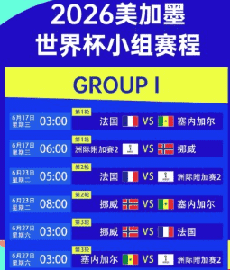 开云社区球迷互动场景